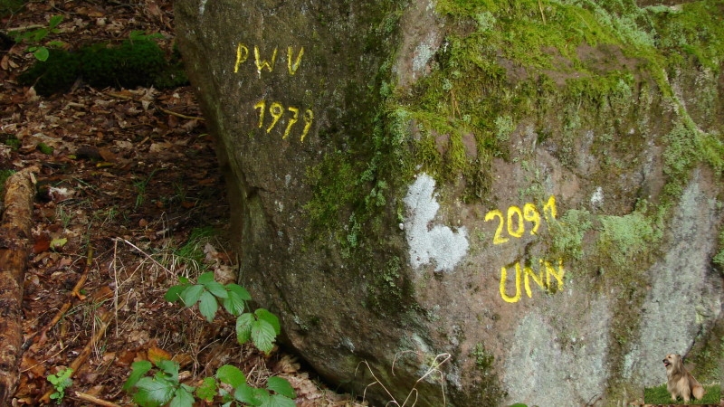 Ritterstein Nr. 215-2 Grosse Hasselskehl - Drei Buchen Hinterweidenthal 209 ü NN .JPG - Ritterstein Nr.215 Grosse Hasselskehl - Drei Buchen 209 ü NN